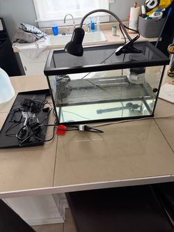 Glass Reptile or Aquatic Tank with Accessories