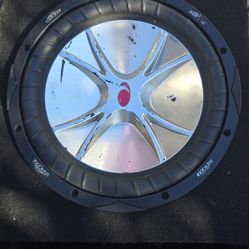 12" Subwoofer 