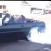 mustang 302