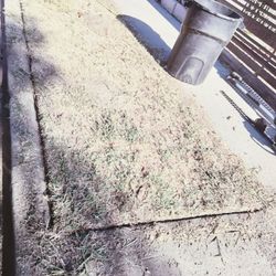 Landscape And Gardening