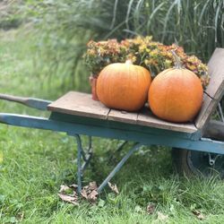 Antique Farm Hand Cart- Mid-Century 