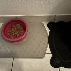 semi used cat supply 
