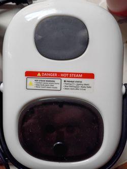 Steam cleaner