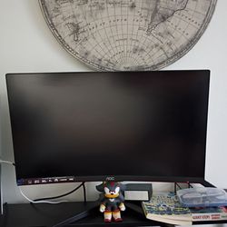 Gaming monitor
