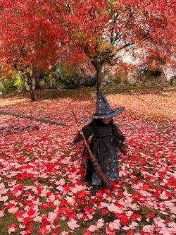 Witch Halloween Costume for toddler Pottery Barn Kids