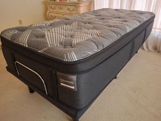 Excellent guest room twin electric frame and mattress