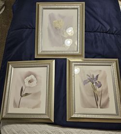 Picture frames / floral / art / decor 