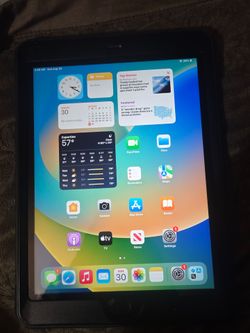 Apple iPad 5  Wi Fi + Cellular 128GB    Unlocked