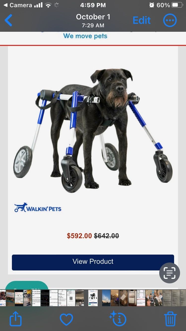 Dog Wheelchair 