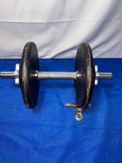 One 25 lb Dumbbell