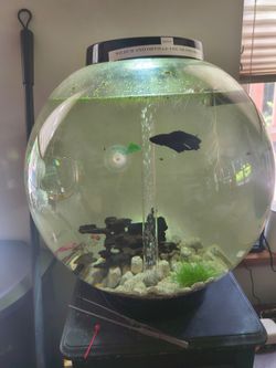 Bioorb