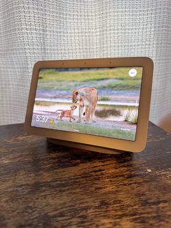 Google Nest Hub (2nd Generation)