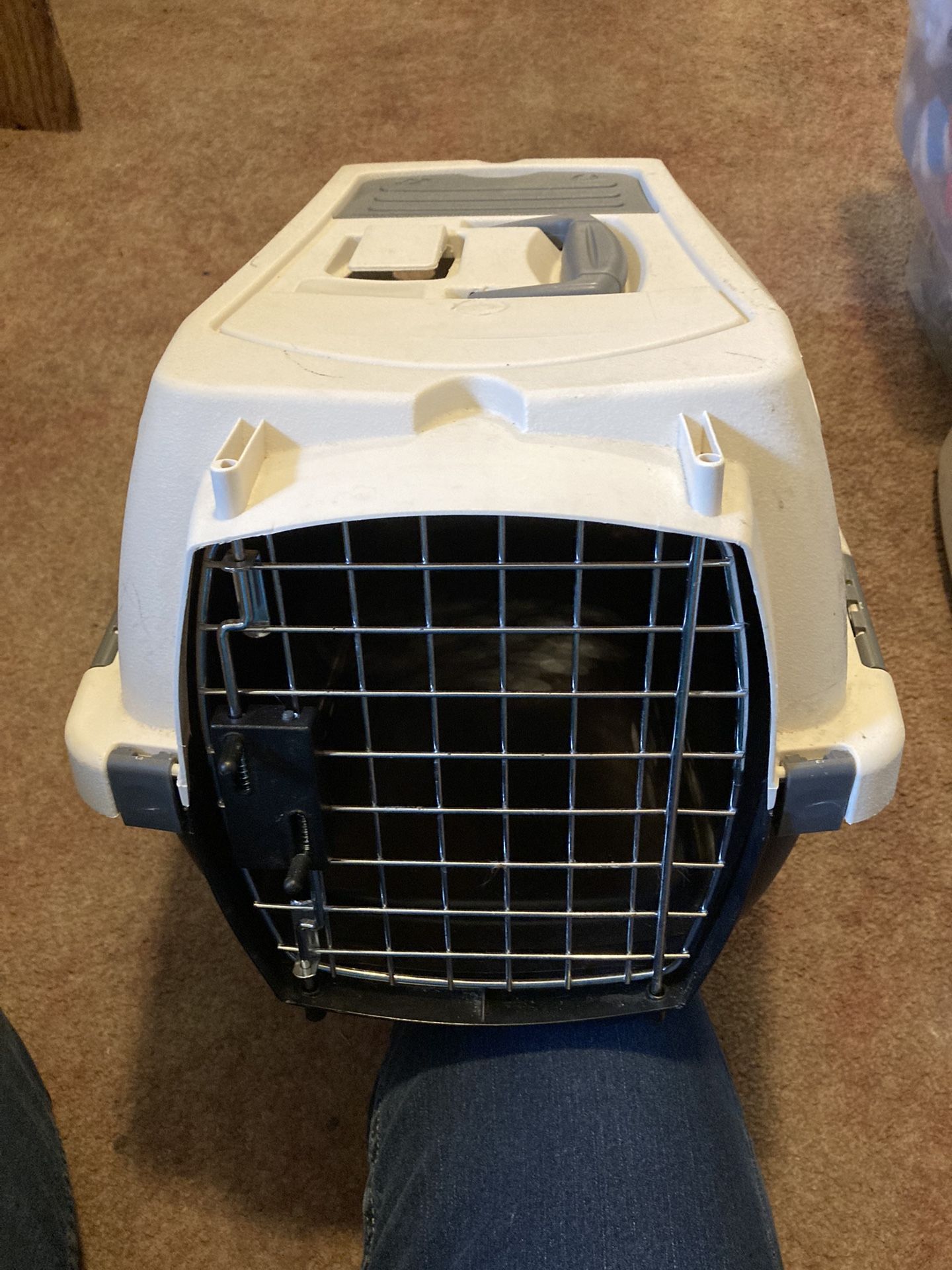 Extra Small Dog Carrier