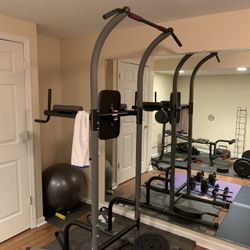 Pull Up/Dips Station With Pilates Ball