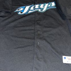 Carlos Delgado Toronto Blue Jay’s Baseball Jersey 