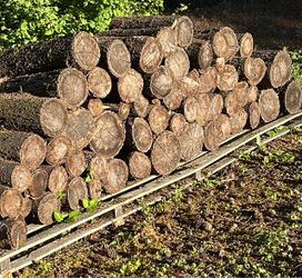 Free firewood  pick up from Lacey 98516