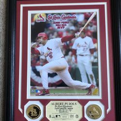 Sports picture Albert Pulols