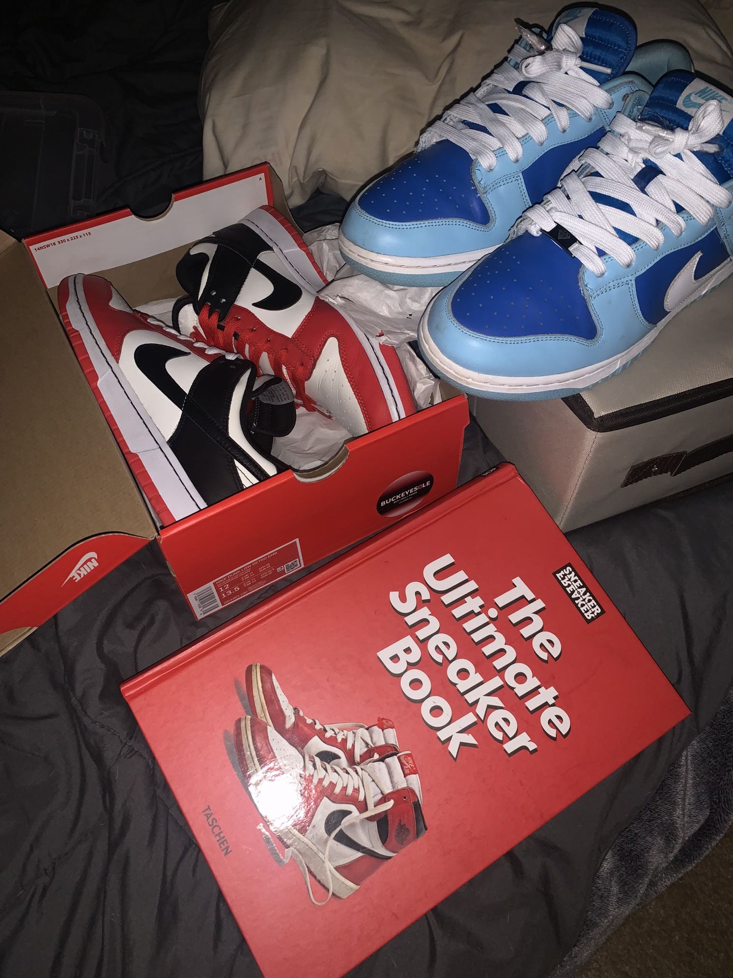 Nike Dunks(sz12)