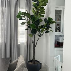 Large Planter Pot 20"D × 20"W x 13"H/ New In Box