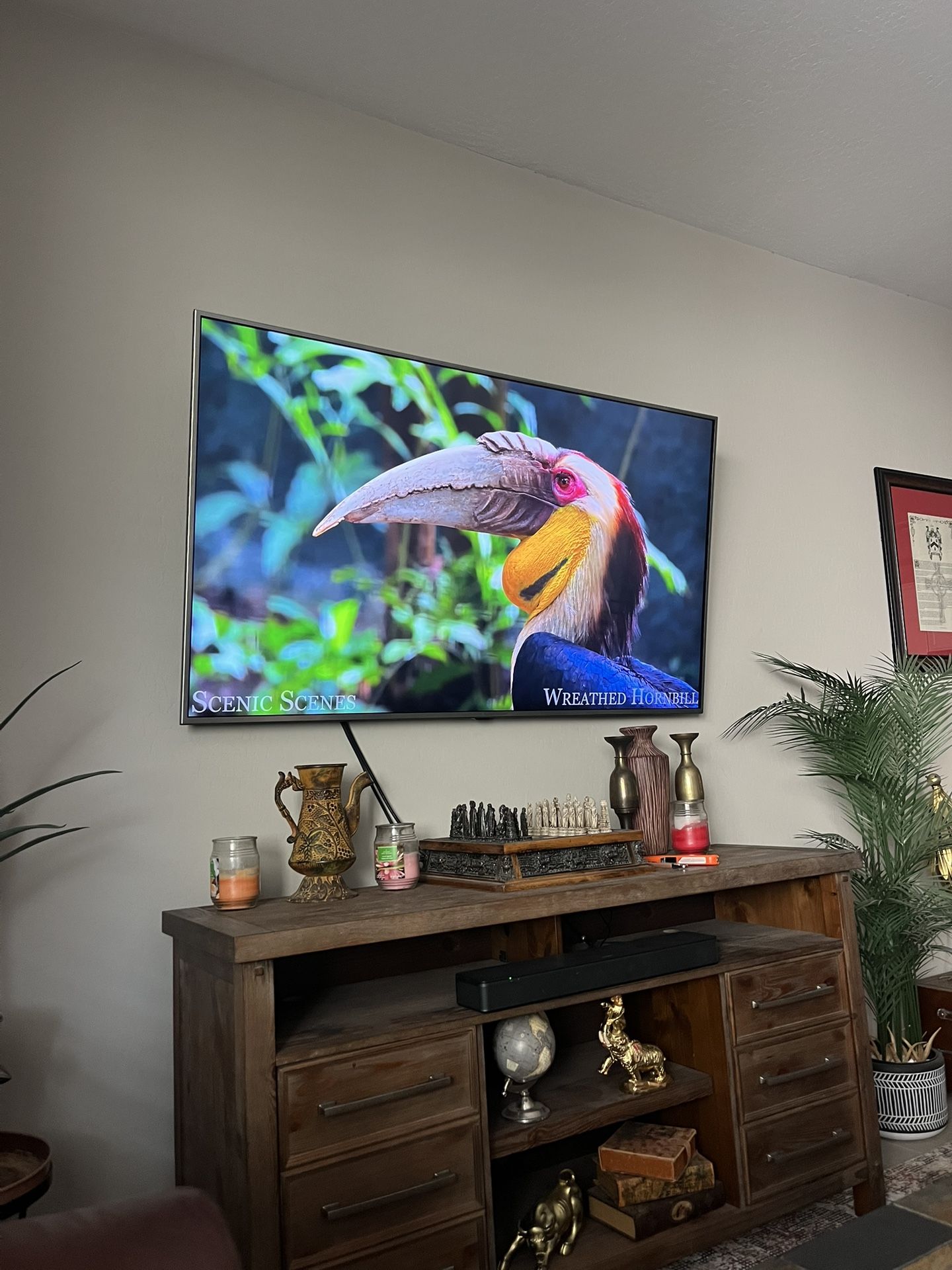 65” LG TV + 4K Roku