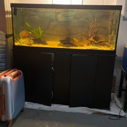 Fish Tank And Stand 