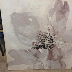 Large Pictures