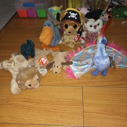 All Sold Separately))Beanie Babies,Beanie Boo's,Pop It's Ect (PRICE IT SHOWS IS ALL ITEMS THE PRICE OF ALL ITEMS TOGETHER)