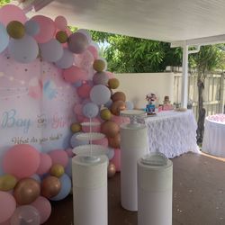 Gender Party 