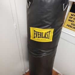 Everlast Punching Bag