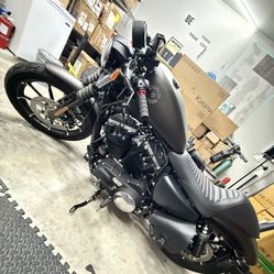 883 iron Harley for sale 