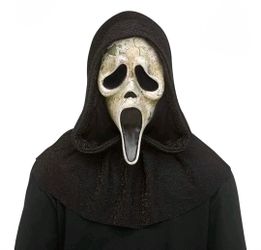 Boy Ghost Face Aged Mask Costume M (8)