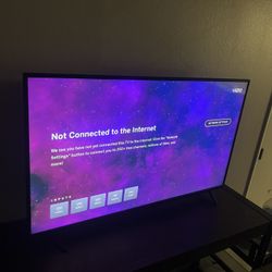 39 inch Vizio TV