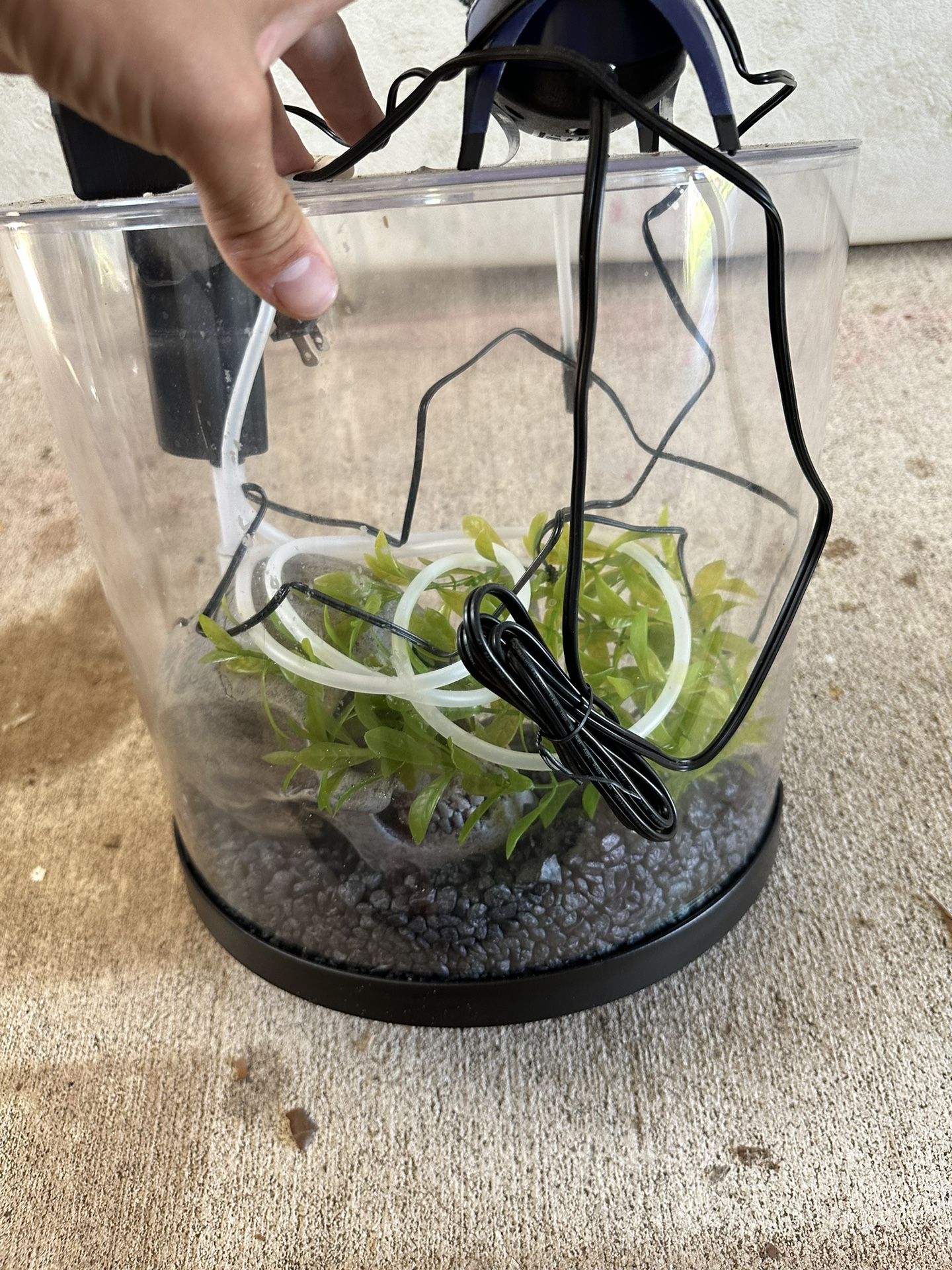 fish tank