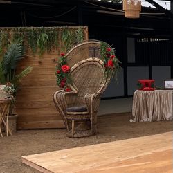 Wood Backdrop And Boho Peacock Chair