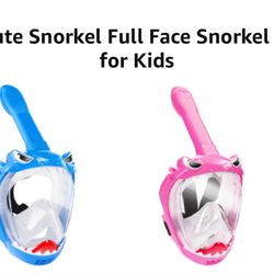 Full Face Snorkel Mask