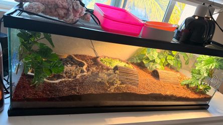 33 GAL Glass Enclosurer
