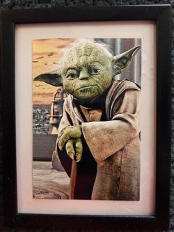 YODA PICTURE