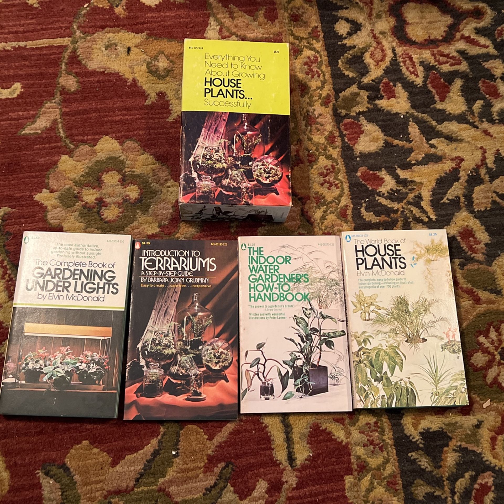 Everything you need to know about growing house plants successfully