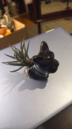 succulent arranged in a dog-shaped planter.