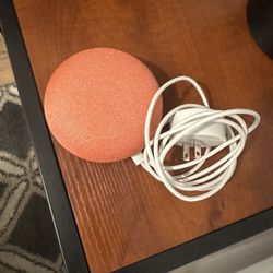 Google Nest Speaker 