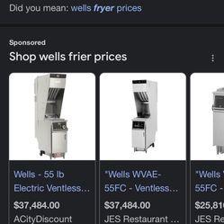 Wells fryer