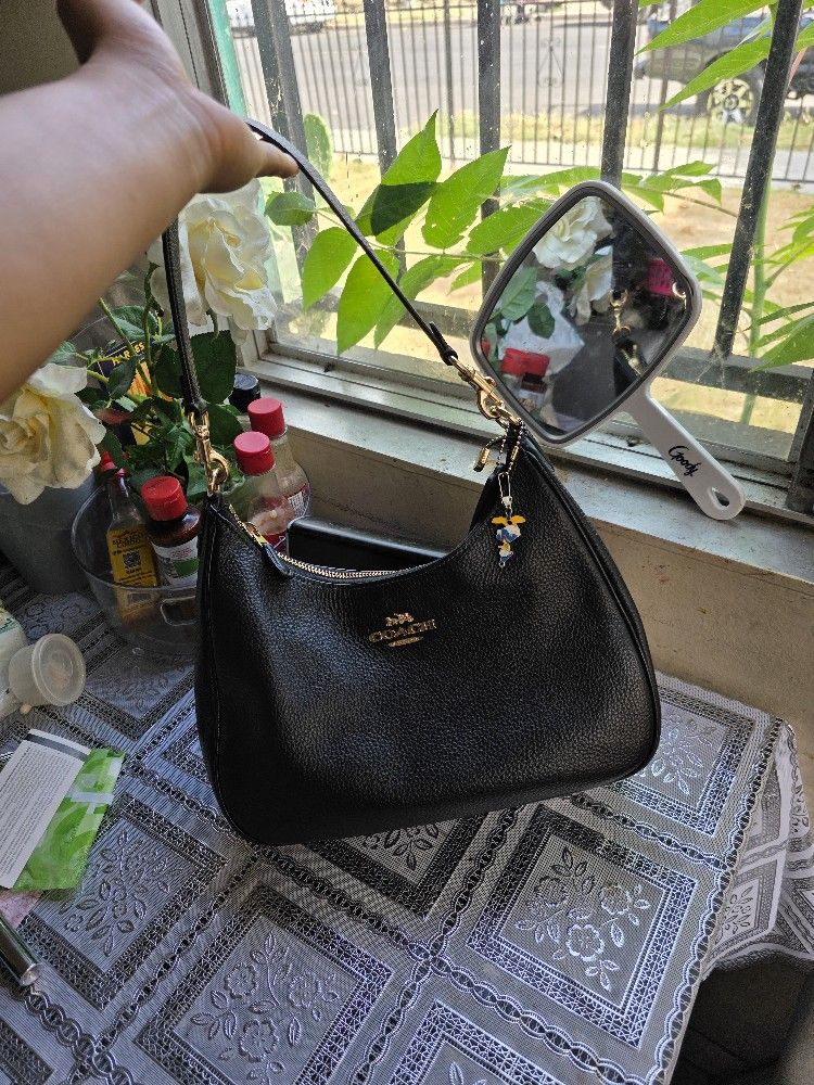 Coach Teri Hobo Bag