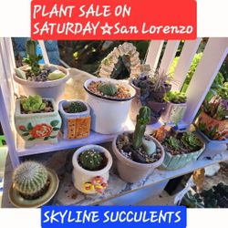 PLANT SALE ON SATURDAY IN SAN LORENZO. CONTACT ME FOR APPT PLEASE