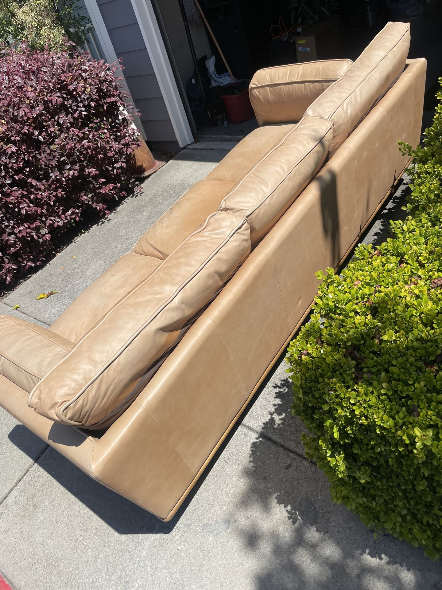 Article Leather Couch Sofa