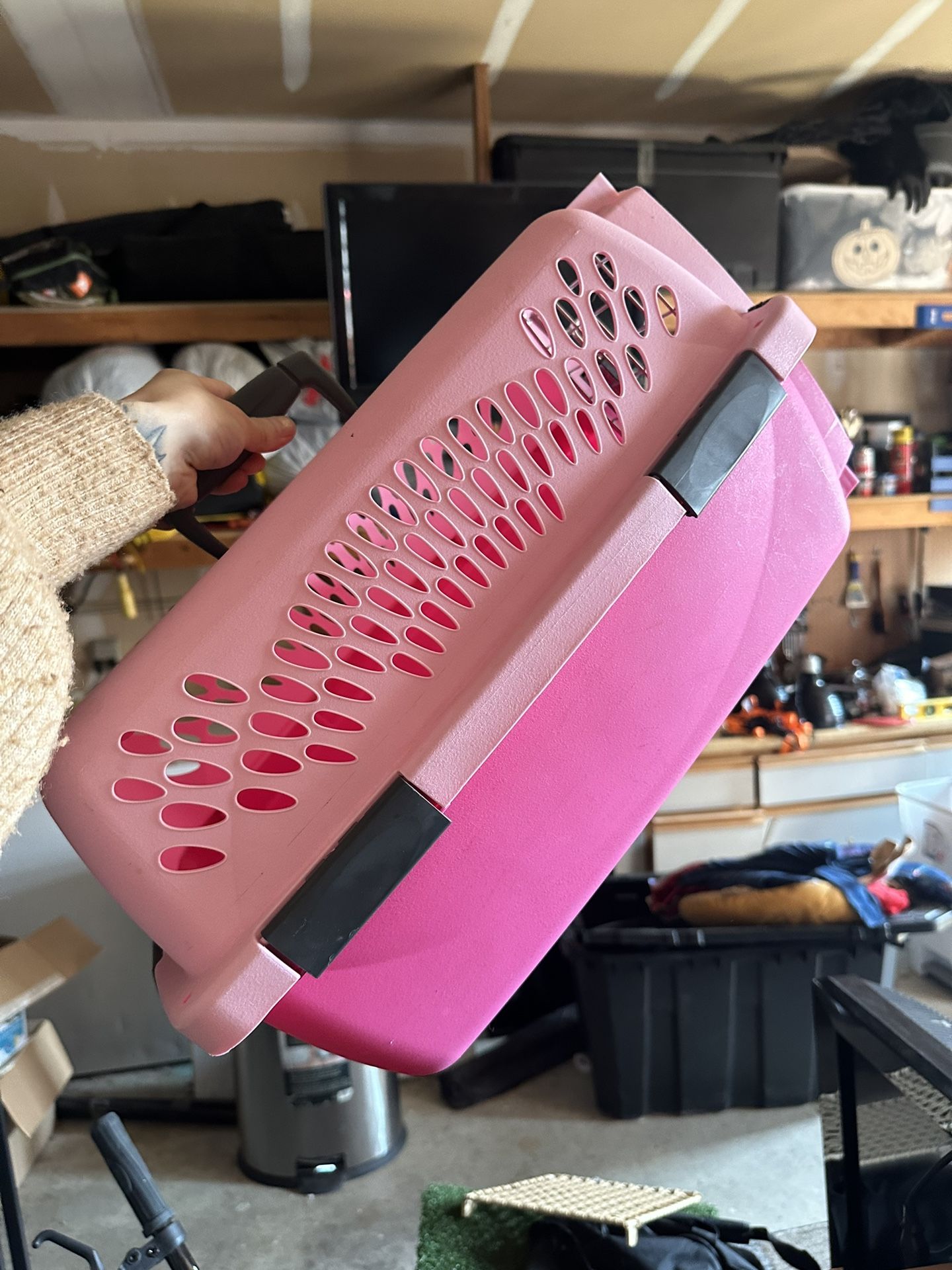 Pet Carrier 