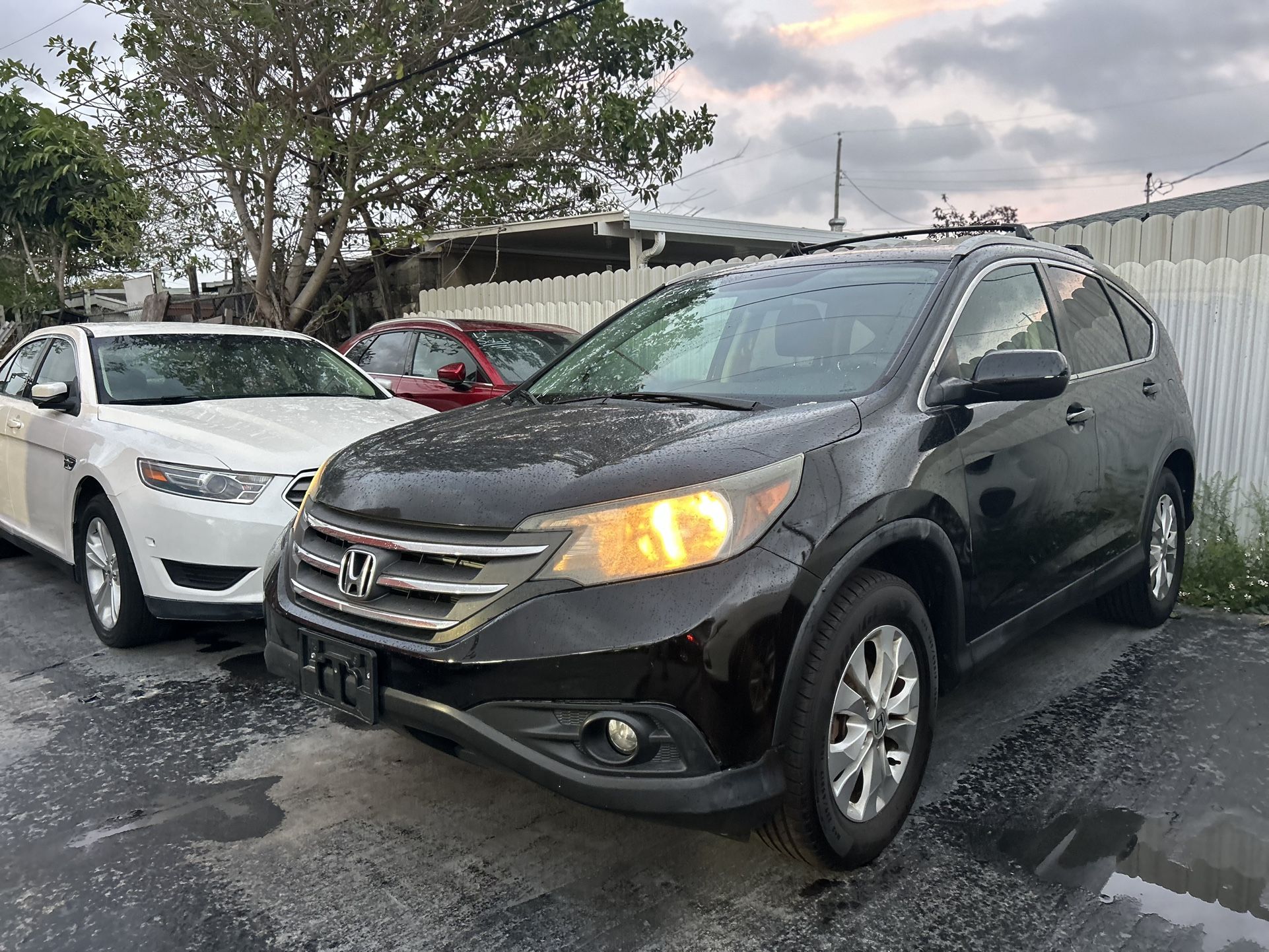 Elegant Honda Dealer Hollywood Fl Pictures