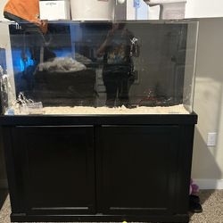 Aquarium 