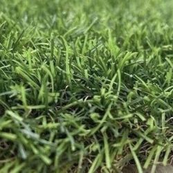 Snow Artificial Grass - Per Square Feet 