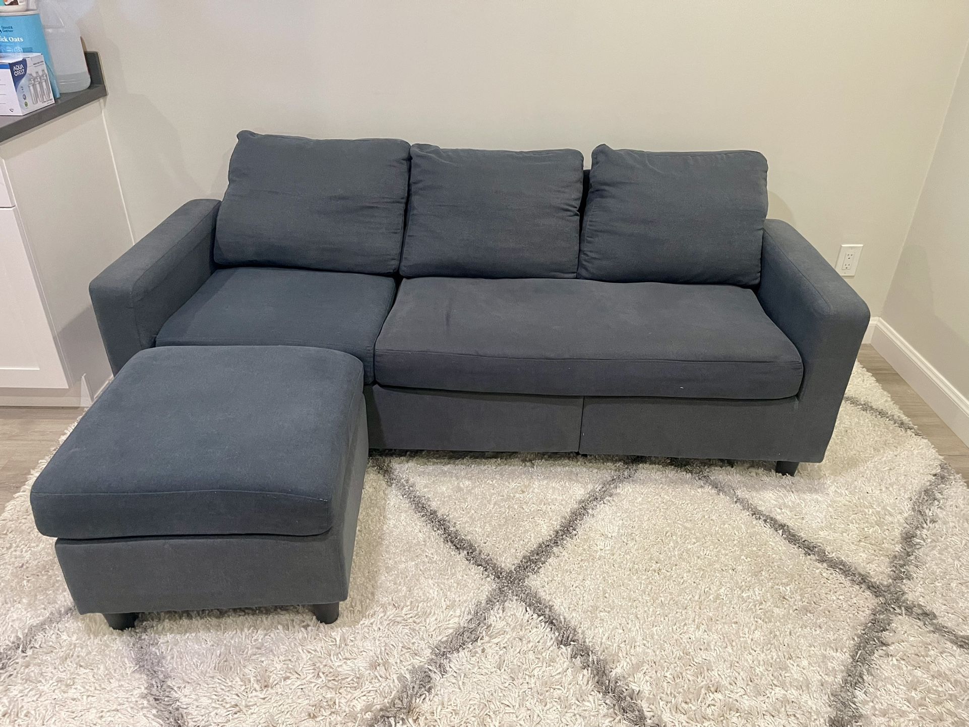 Small Couch (77.6 L x 35 H) and Rug (8 x 10)
