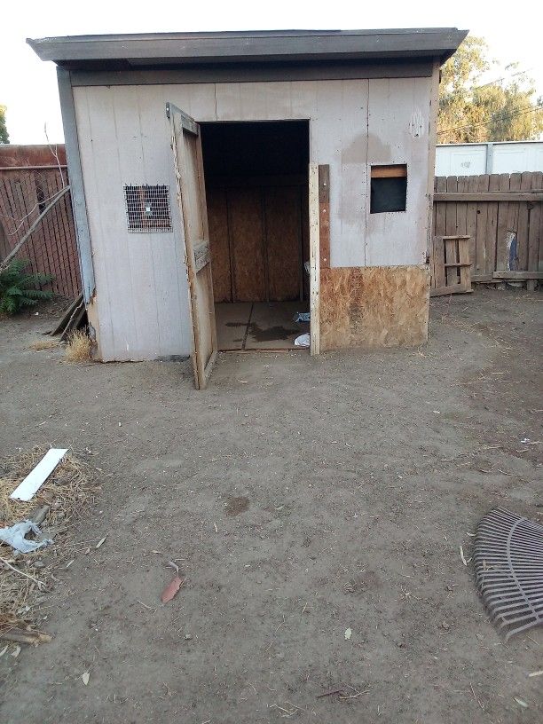 Shed